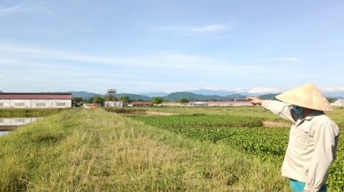  Công ty TNHH Khánh Giang bị phạt 1,25 tỷ đồng do có nhiều vi phạm tại dự án chăn nuôi bò sữa