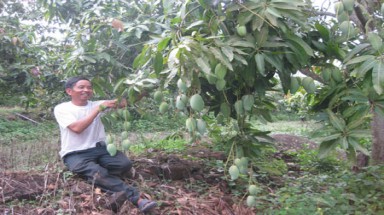  Đặc sản khó tiêu thụ ?