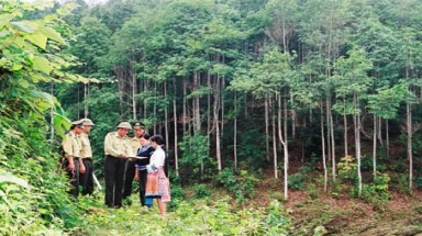  Chiến lược quốc gia về biến đổi khí hậu: Bước chuyển đổi nhận thức