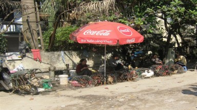  Hà Nội: Tràn lan các lò mổ “tự phát” tại chợ 