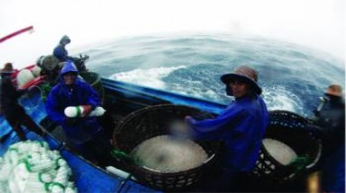  Do không khí lạnh: Khu vực Bắc biển Đông đề phòng gió giật cấp 8