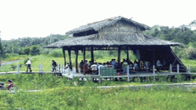 Về U Minh ăn cá