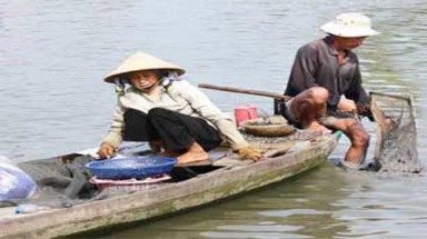 Mùa cào hến đồng