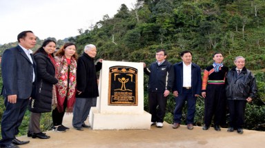 Quần thể 200 cây chè Shan tuyết cổ thụ tại bản Bẹ, xã Tà Xùa, huyện Bắc Yên, tỉnh Sơn La được vinh danh Cây Di sản Việt Nam