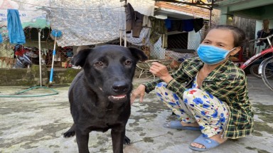 Nói 'không' với thịt chó, mèo: Hội An lên tiếng, cả nước sẽ trả lời?