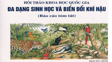  Nhiều hội viên VACNE tham dự Hội thảo "Đa dạng sinh học và biến đổi khí hậu"