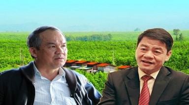   6 phó tổng giám đốc của bầu Đức rời công ty