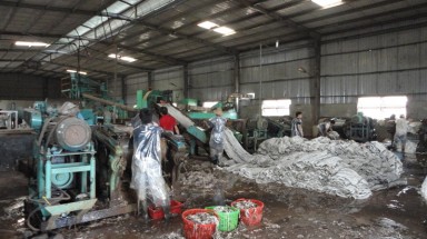  Doanh nghiệp tư nhân thương mại Long Nhật sản xuất mủ cao su gây ô nhiễm 