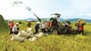  Cần có chính sách và nguồn lực cho chương trình giảm nghèo đô thị