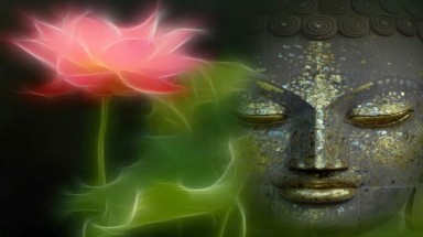    Biểu tượng hoa sen trong đạo Phật có ý nghĩa gì?