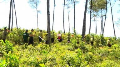 Bình Phước:Chủ động phòng chống cháy rừng phòng hộ vùng biên 