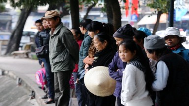  Rùa hồ Gươm 'dạo chơi' trong giá lạnh