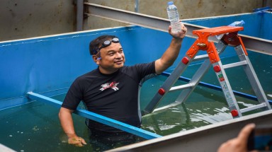  JEBO: "Chủ tịch UBND thành phố Hà Nội thông tin sai sự thật"