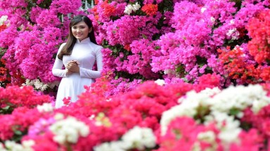  Lịch nghỉ tết dương lịch, âm lịch trong tháng 1/2020