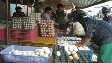  "Viagra" trứng gà ung có thể có độc