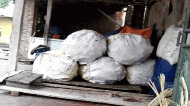  Hãi hùng bì lợn bẩn