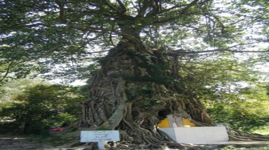  Sự huyền bí của tháp cổ 7 tầng trên núi