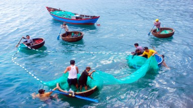  Mùa ruốc ở vùng biển Nhơn Lý