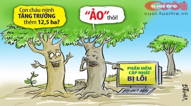  Lỗi phần mềm làm rừng mọc thêm gần 13 ha