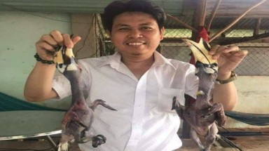  Thông tin bất ngờ vụ giám đốc ”tự sướng” khoe ảnh thịt chim quý