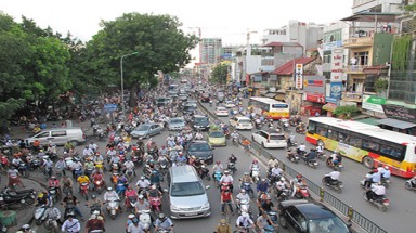 Phấn đấu đạt 45% độ che phủ rừng ngập mặn vào 2020