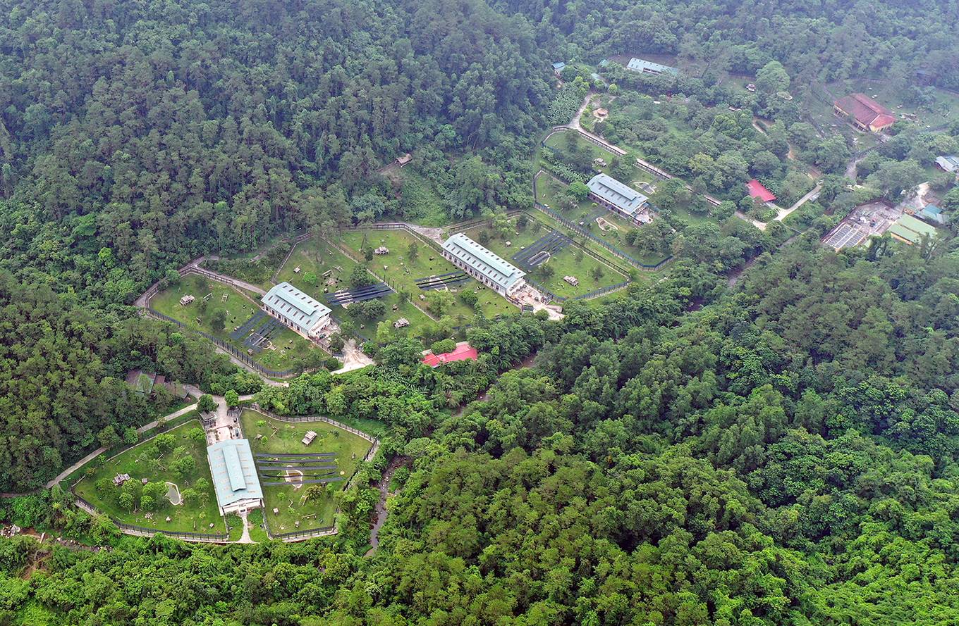 Ngôi[-]nhà[-]chung[-]của[-]gần[-]200[-]con[-]gấu[-]ở[-]Việt[-]Nam