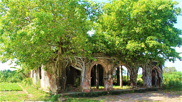 Trùng[-]tu[-]ngôi[-]đình[-]hơn[-]100[-]tuổi,[-]giữ[-]nguyên[-]hai[-]cây[-]bồ[-]đề[-]độc[-]đáo[-]trên[-]nóc
