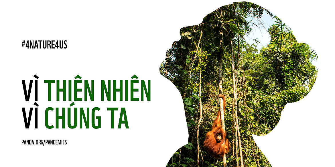 Rất[-]nhiều[-]dấu[-]hiệu[-]cảnh[-]báo[-]một[-]đại[-]dịch[-]mới[-]xuất[-]hiện[-]trừ[-]phi[-]chúng[-]ta[-]hành[-]động[-]khẩn[-]cấp[-]