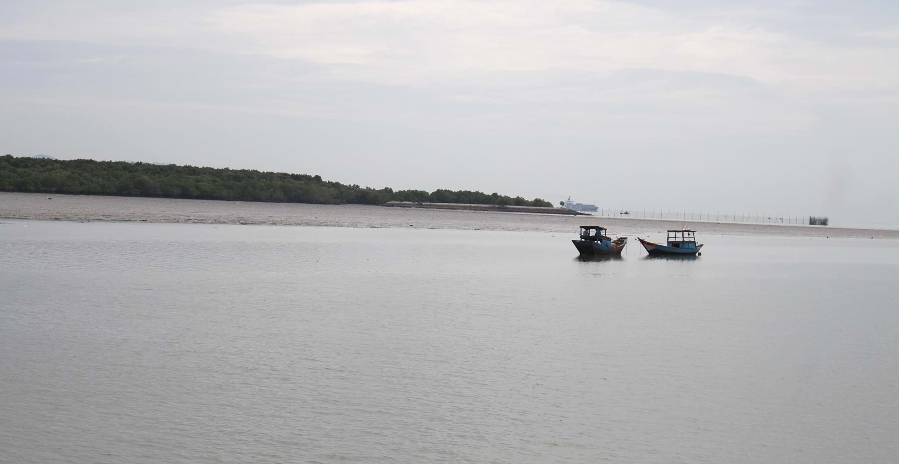 TP.HCM:[-]“Xin”[-]đất[-]rừng[-]để[-]phát[-]triển[-]đảo