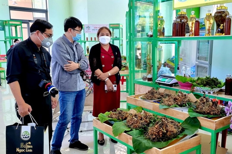 Phát[-]triển[-]du[-]lịch[-]sâm[-]và[-]cây[-]dược[-]liệu[-]ở[-]Nam[-]Trà[-]My