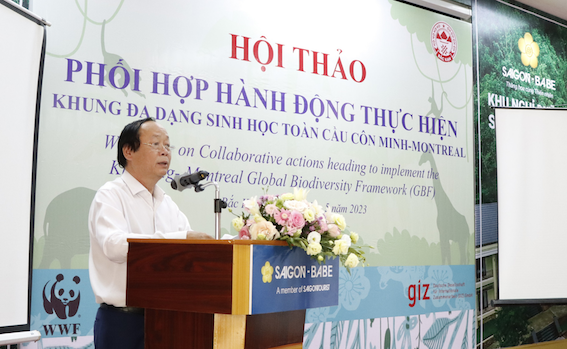 Phối[-]hợp[-]hành[-]động[-]thực[-]hiện[-]Khung[-]đa[-]dạng[-]sinh[-]học[-]toàn[-]cầu