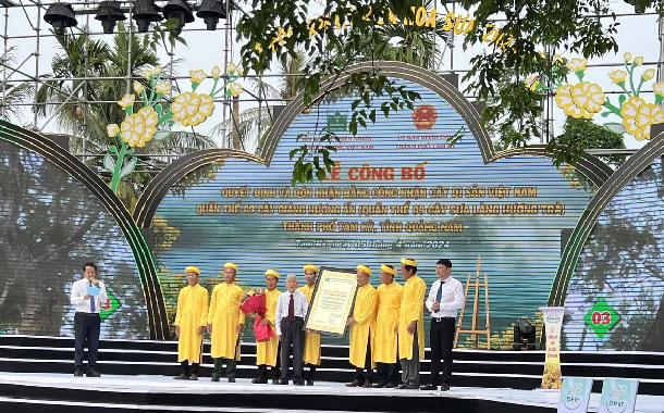 9[-]cây[-]Giáng[-]hương[-]ấn[-]tại[-]Làng[-]sinh[-]thái[-]Hương[-]Trà[-]-[-]Quảng[-]Nam[-]là[-]Cây[-]Di[-]sản[-]Việt[-]Nam