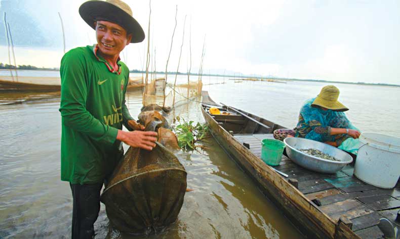 nuoc[-]noi