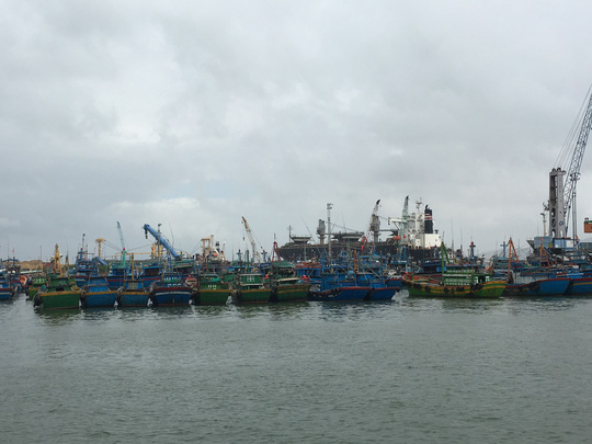 Không[-]thể[-]nạo[-]vét[-]439.000[-]m3[-]bùn[-]thải[-]rồi[-]lại[-]đổ[-]xuống[-]biển