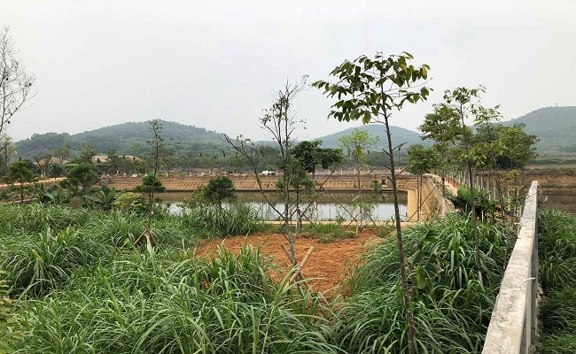 Thứ[-]trưởng[-]Bộ[-]TN-MT[-]mua[-]gom[-]hàng[-]chục[-]ngàn[-]mét[-]vuông[-]đất[-]lâm[-]trường