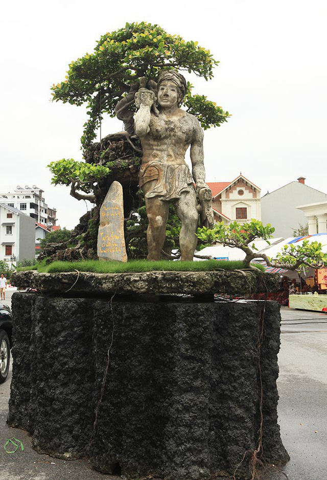 Xôn[-]xao[-]“cây[-]Thạch[-]Sanh”[-]được[-]báo[-]giá[-]hơn[-]4[-]tỷ[-]đồng[-]ở[-]Hải[-]Dương