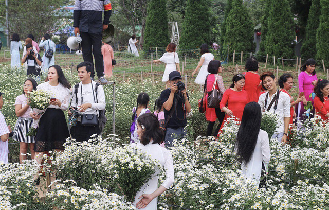 Biển[-]người[-]đổ[-]về[-]chụp[-]ảnh,[-]vườn[-]cúc[-]họa[-]mi[-]“vỡ[-]trận”