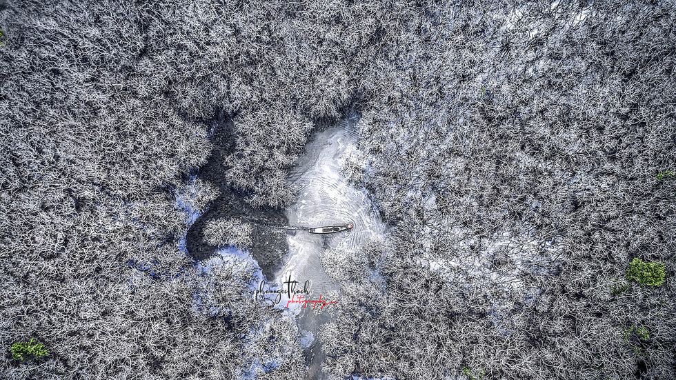 Đông[-]về,[-]rừng[-]Rú[-]Chá[-]đẹp[-]ma[-]mị