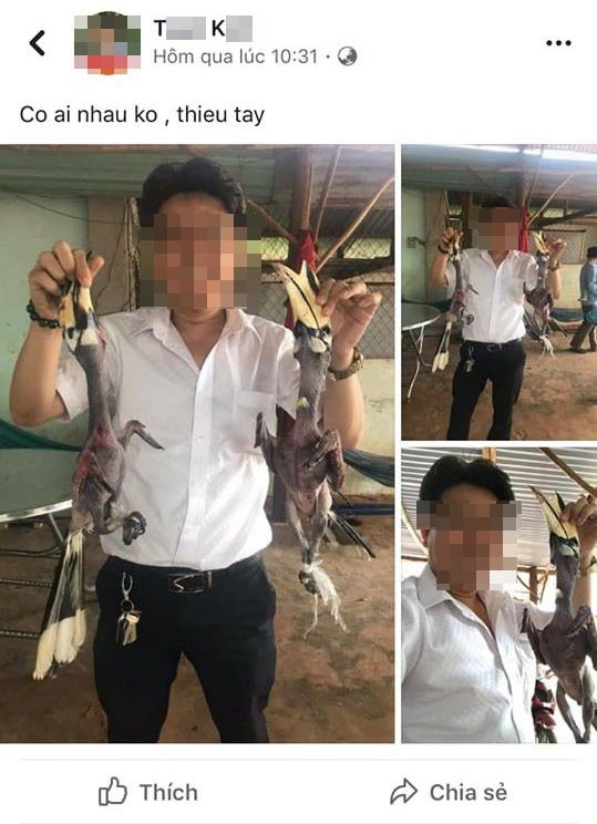 Con[-]chim[-]bị[-]vặt[-]trụi[-]lông,[-]khoe[-]trên[-]mạng[-]có[-]phải[-]là[-]Hồng[-]Hoàng?
