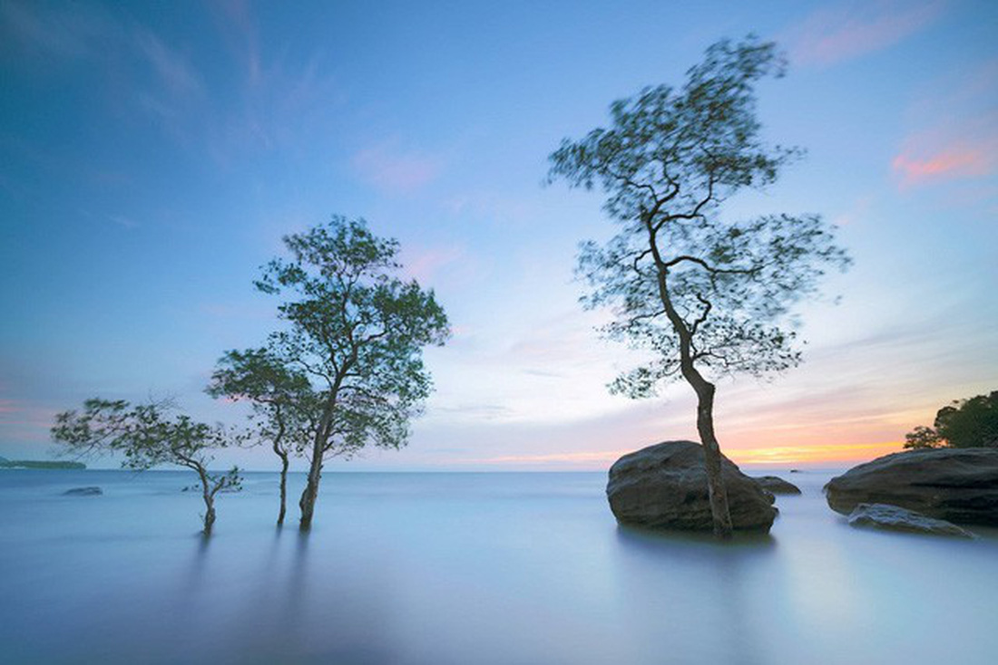 Ảnh[-]Việt[-]Nam[-]đẹp[-]nên[-]thơ[-]của[-]Việt[-]kiều[-]Mỹ