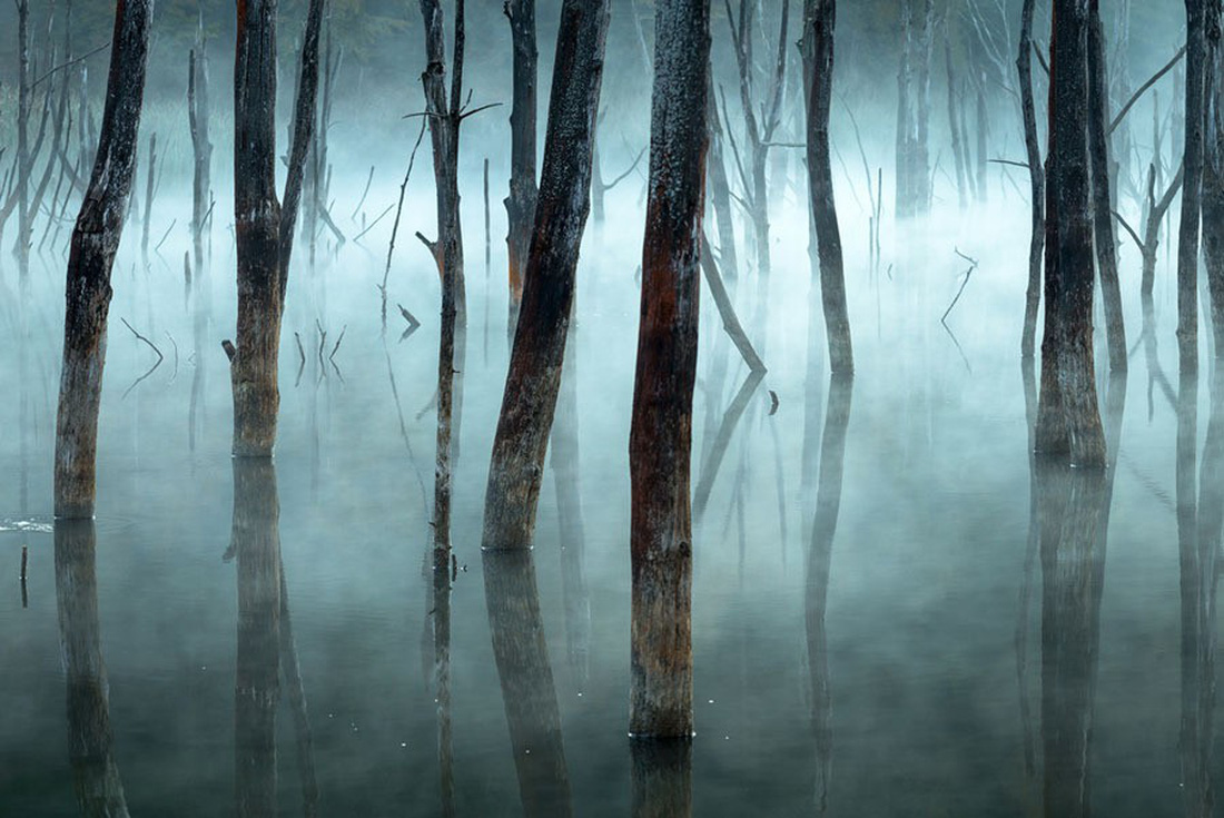Ngắm[-]ảnh[-]thiên[-]nhiên[-]tuyệt[-]đẹp[-]đoạt[-]giải[-]của[-]NatGeo[-]năm[-]2017
