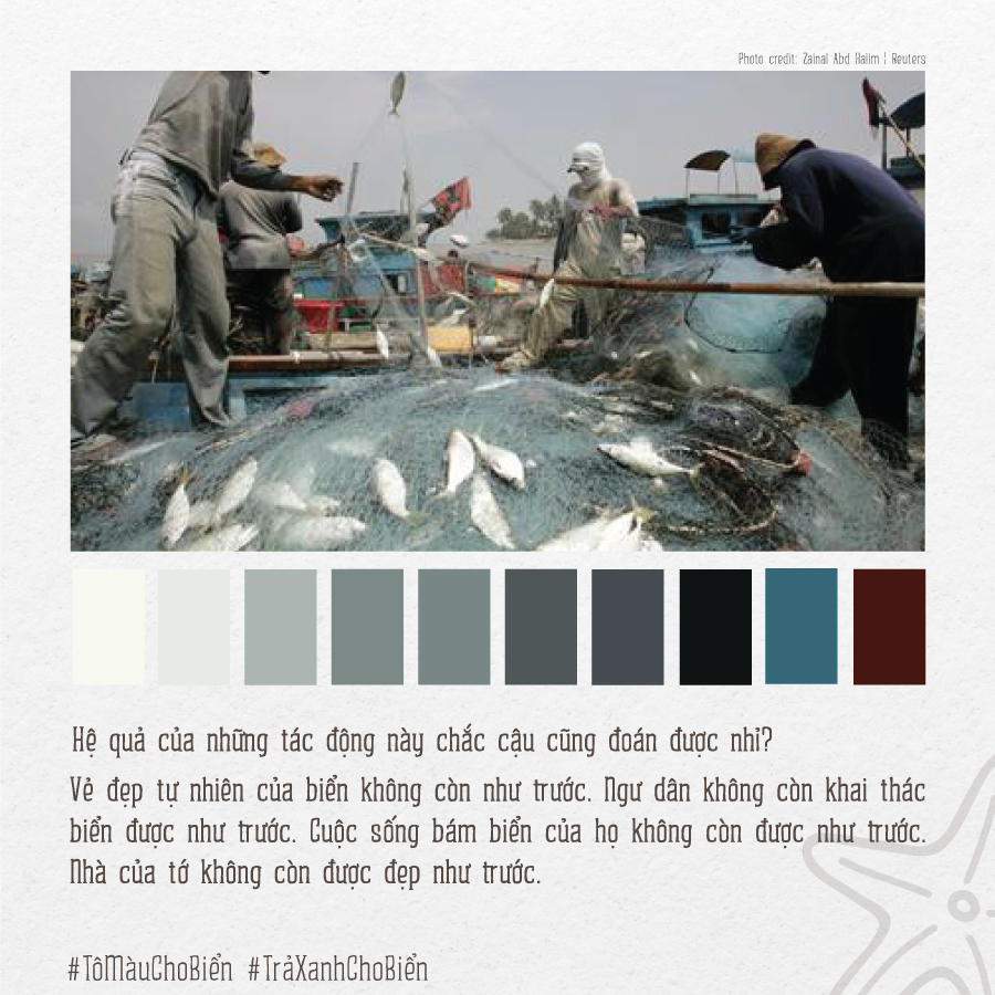 Bộ[-]ảnh[-]“Tô[-]màu[-]cho[-]biển”