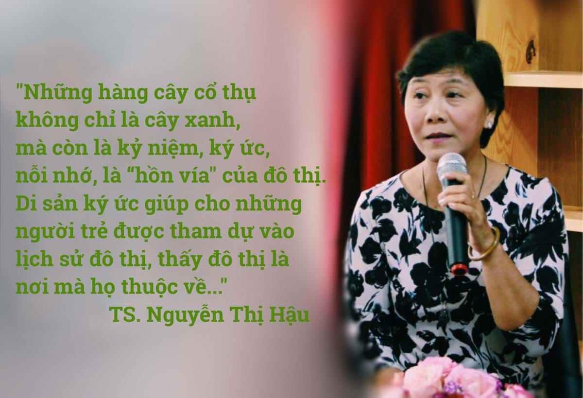 Chặt[-]146[-]cây[-]xanh[-]để[-]chỉnh[-]trang[-]bến[-]Bạch[-]Đằng:[-]Muốn[-]hiện[-]đại[-]phải[-]triệt[-]hạ[-]thiên[-]nhiên?