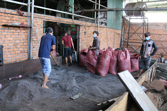 Cận[-]cảnh[-]chế[-]biến[-]cà[-]phê[-]độc[-]hại[-]từ[-]tạp[-]chất[-]và[-]than[-]pin
