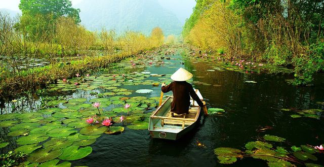 Báo[-]Anh[-]giới[-]thiệu[-]chùm[-]ảnh[-]tuyệt[-]đẹp[-]về[-]Việt[-]Nam
