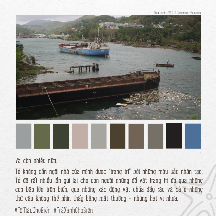 Bộ[-]ảnh[-]“Tô[-]màu[-]cho[-]biển”