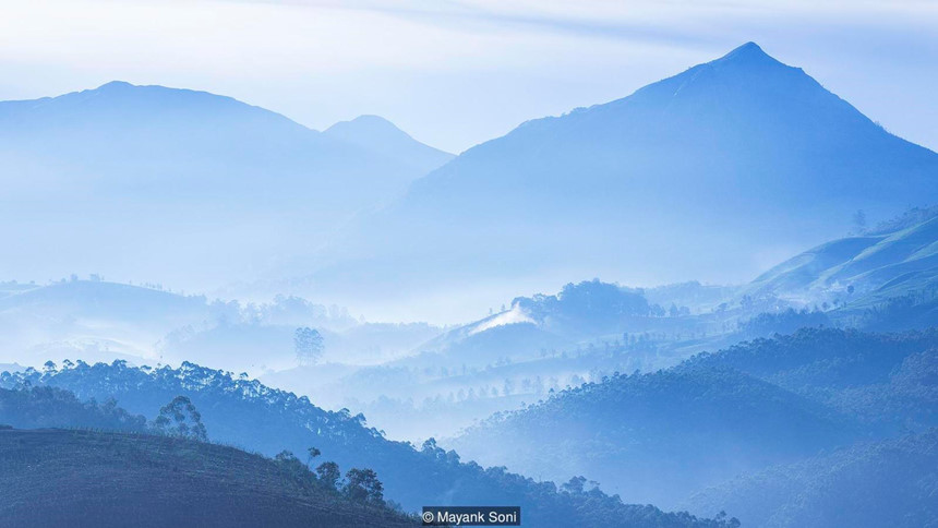 Thung[-]lũng[-]ngập[-]màu[-]tím[-]biếc[-]của[-]sắc[-]hoa[-]12[-]năm[-]nở[-]một[-]lần