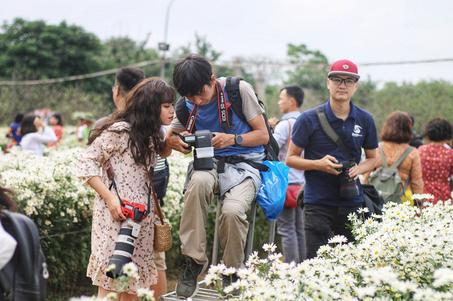 Biển[-]người[-]đổ[-]về[-]chụp[-]ảnh,[-]vườn[-]cúc[-]họa[-]mi[-]“vỡ[-]trận”