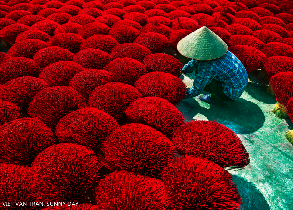 Thông[-]điệp[-]đáng[-]lo[-]sau[-]bức[-]ảnh[-]Việt[-]Nam[-]tại[-]cuộc[-]thi[-]ảnh[-]môi[-]trường[-]thế[-]giới