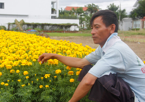 Với[-]những[-]nông[-]dân,[-]mưa[-]bão[-]là[-]nỗi[-]lo[-]lớn[-]nhất[-]với[-]họ[-]khi[-]tất[-]cả